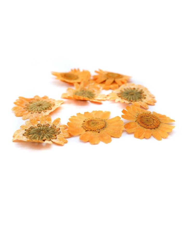 Kurutulmuş Papatya - Oranj 10 Adet