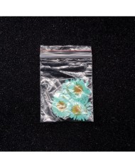 Kurutulmuş Papatya -Turkuaz Mavi 10 Adet