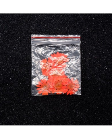 Kurutulmuş Papatya - Turuncu 10 Adet