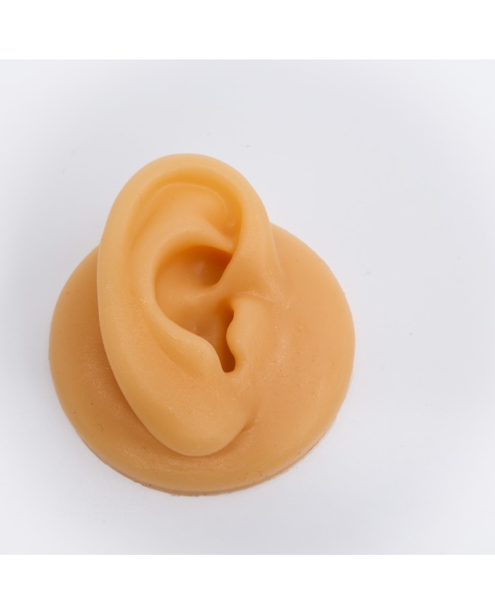 Silikon Kulak  Sağ  25 Adet - Takı ve Bijuteri Küpe Mankeni