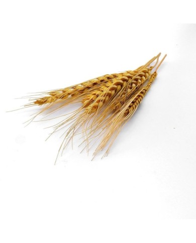 Kurutulmuş Çiçek - Kuru Başak Otu