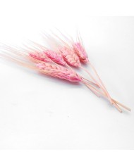 Kurutulmuş Çiçek - Kuru Başak Otu