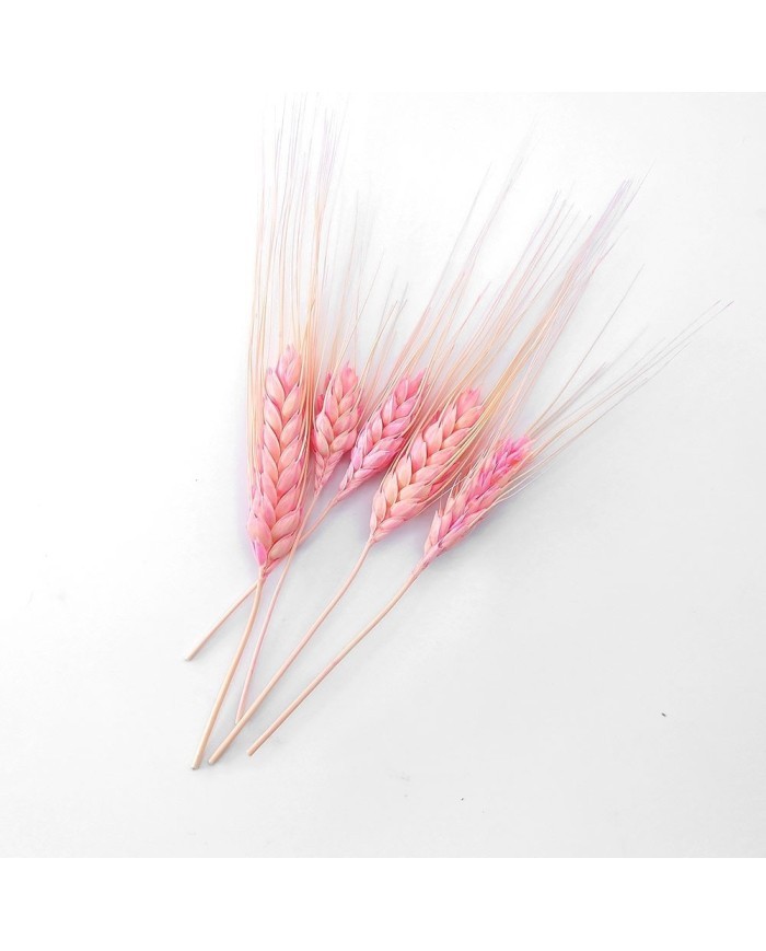 Kurutulmuş Çiçek - Kuru Başak Otu