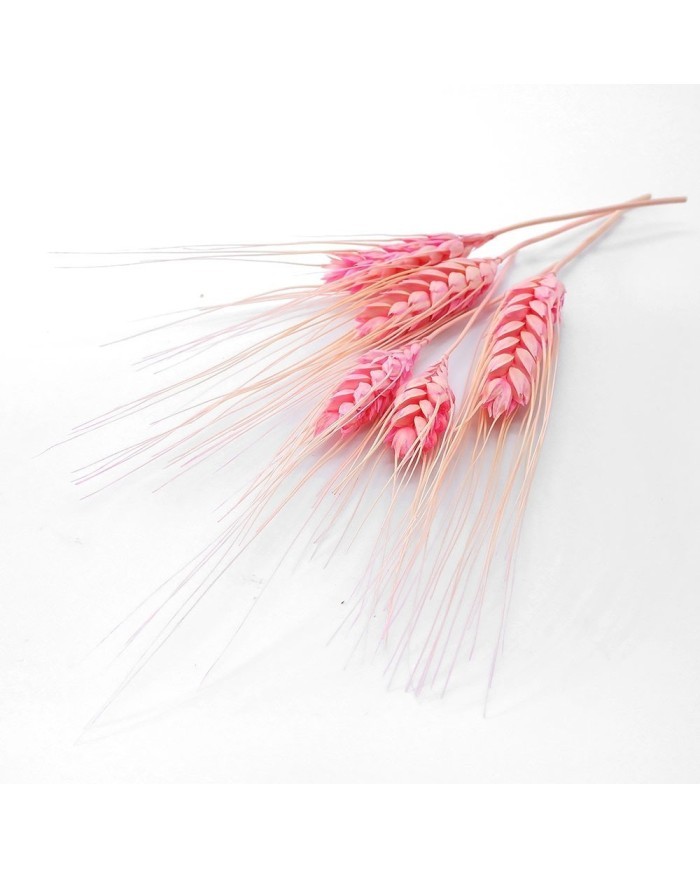 Kurutulmuş Çiçek - Kuru Başak Otu