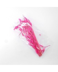 Kurutulmuş Çiçek - Kuru Yulaf Otu