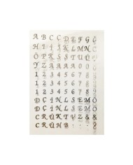 Epoksi Asetat - Gümüş