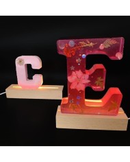 Büyük Reçine Epoksi Silikon Kalıp  Big  Boy Harf  - D