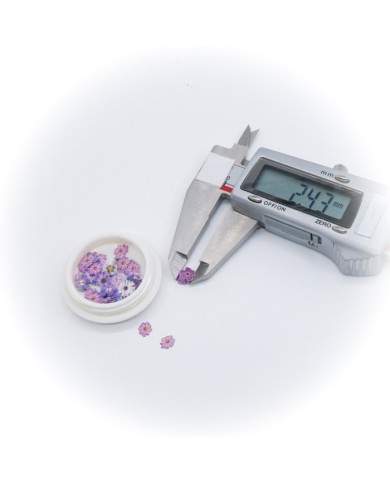 5D Renkli Çiçek Lila