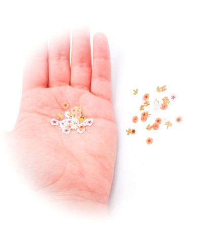 5D Renkli Mini Çiçek Bahar Tonları