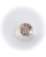 5D Renkli Mini Çiçek Naturel Renk