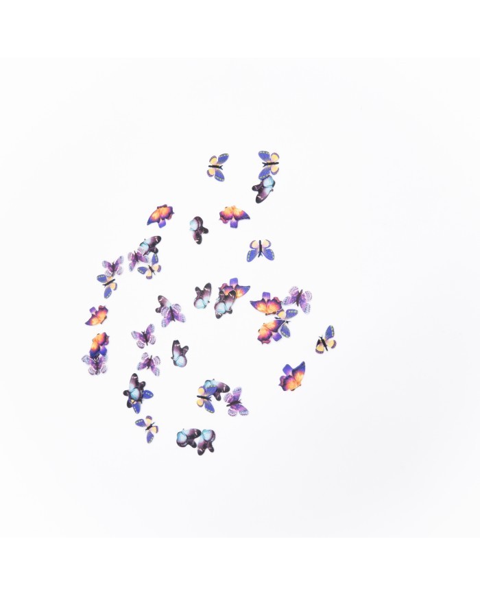 5D Renkli Mini Kelebek Gökkuşağı