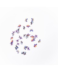 5D Renkli Mini Kelebek Gökkuşağı