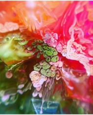 Alkol Bazlı Epoksi Mürekkep Boya   15 cc - pembe  Ebru Pigment