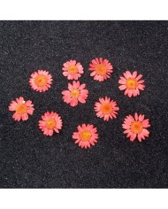 Kurutulmuş Papatya - Açık Kırmızı 5 Adet