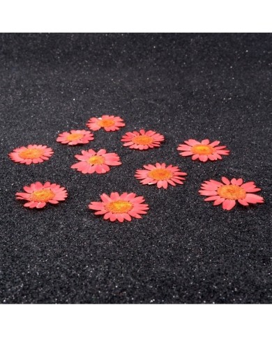 Kurutulmuş Papatya - Açık Kırmızı 5 Adet