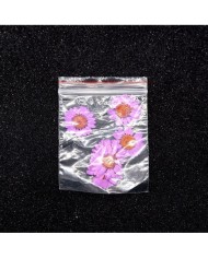 Kurutulmuş Papatya - Açık Pembe 5 Adet