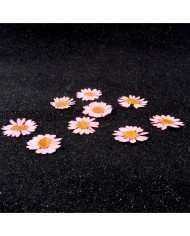 Kurutulmuş Papatya - Açık Pembe 5 Adet