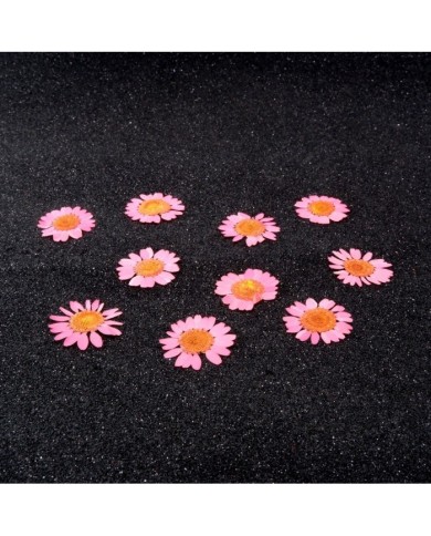 Kurutulmuş Papatya - Pembe 5 Adet