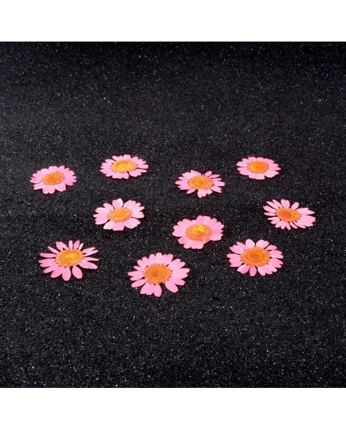 Kurutulmuş Papatya - Pembe 5 Adet