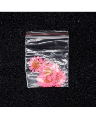 Kurutulmuş Papatya - Pembe 5 Adet