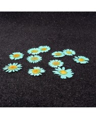 Kurutulmuş Papatya -Turkuaz Mavi 5 Adet