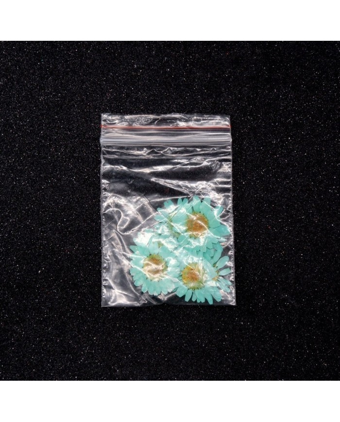 Kurutulmuş Papatya -Turkuaz Mavi 5 Adet