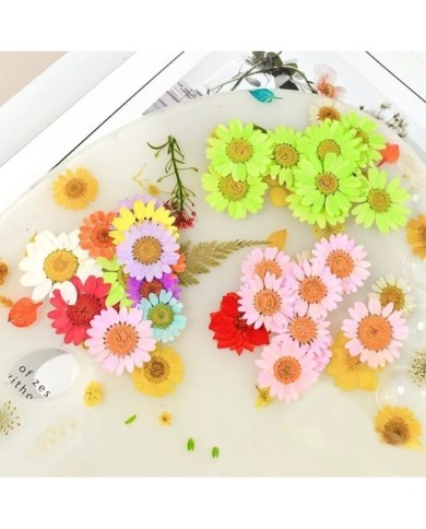 Kurutulmuş Papatya - Sarı 5 Adet