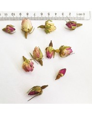 Kurutulmus Mini Gül Paket - 10 adet