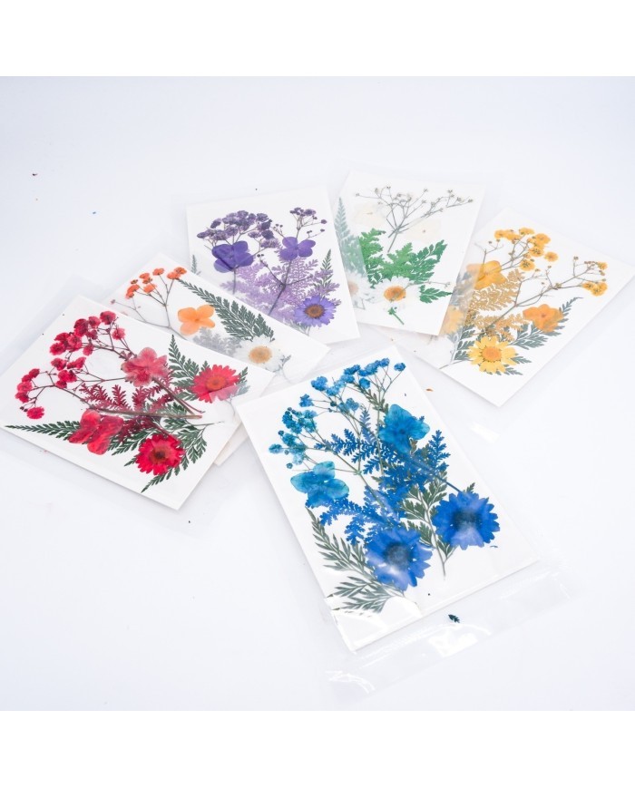 mor Kuru  Çiçek  Papatya Dal Cipso Set