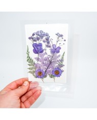 mor Kuru  Çiçek  Papatya Dal Cipso Set