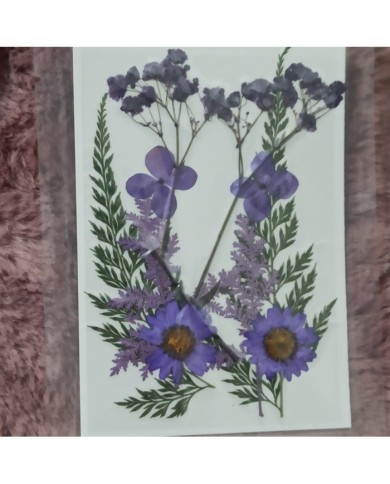 mor Kuru  Çiçek  Papatya Dal Cipso Set