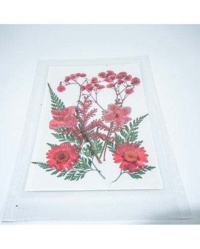 Kırmızı Kuru  Çiçek  Papatya Dal Cipso Set