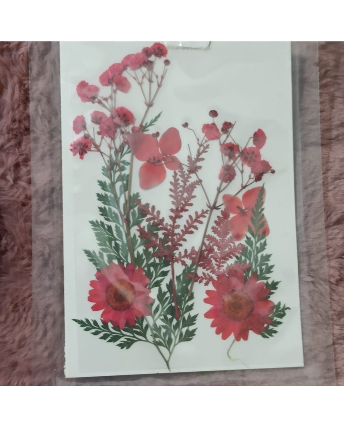 Kırmızı Kuru  Çiçek  Papatya Dal Cipso Set