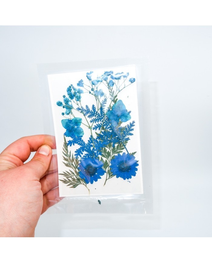 Mavi Kuru  Çiçek  Papatya Dal Cipso Set