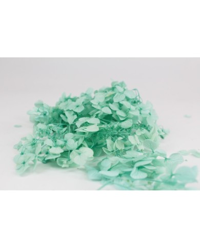 Kurutulmuş Japon çiçeği - Yeşil